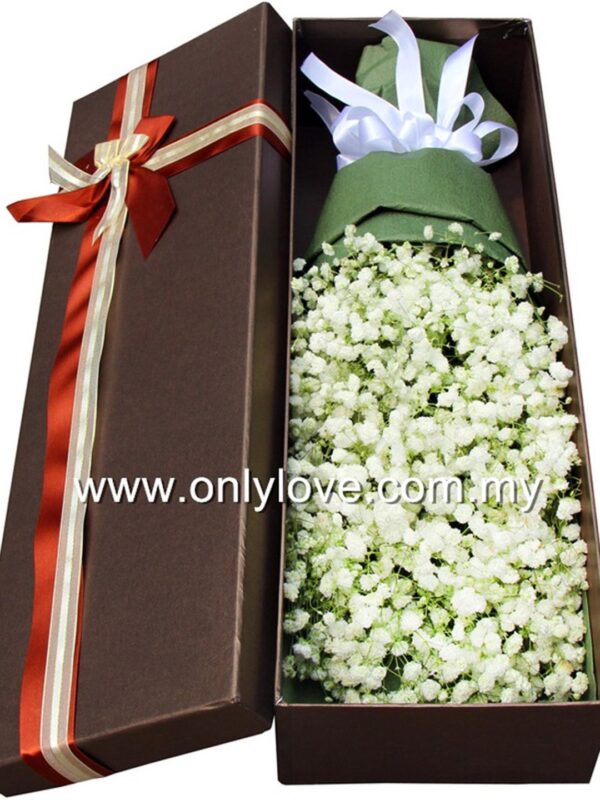 LB20 Baby Breath Gift Box – Florist Titiwangsa