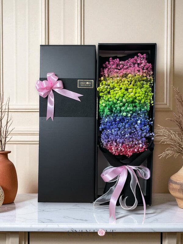 LB22 Rainbow Baby Breath Gift Box – Florist Wangsa Maju