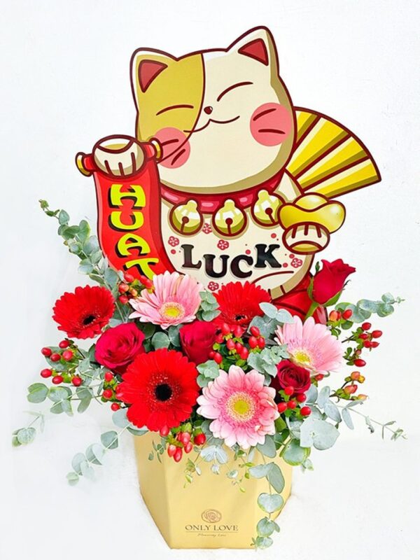 BB049 Fortune Lucky Cat Flower Bloom Box – Florist Bukit Jalil