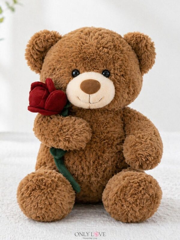 AD042 Classic Brown Teddy Bear with Rose – Florist Sungai Buloh