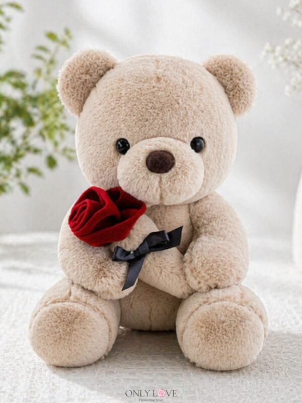 AD044 Love Teddy Bear with Rose Plush Toy 25cm H – Florist KL