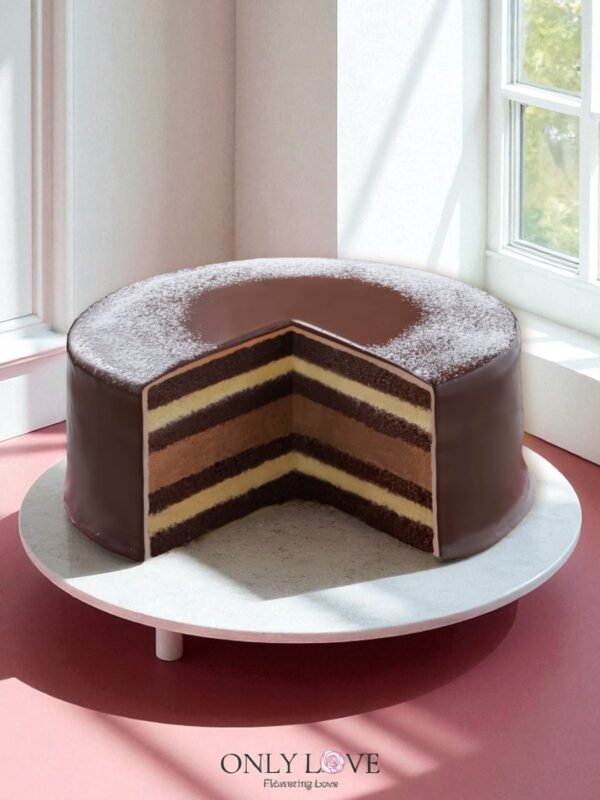 SRC01 Chocolate Indulgence Cake – Florist USJ