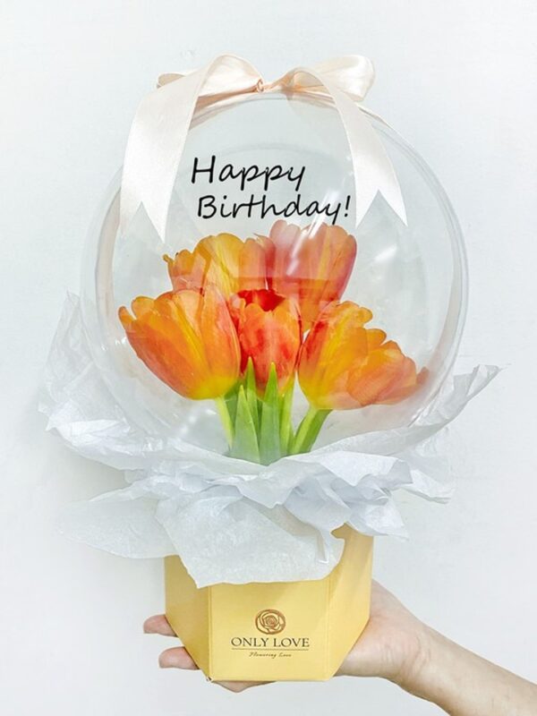 H33 Tulip Acrylic Balloon Bloom Box – Florist Setapak