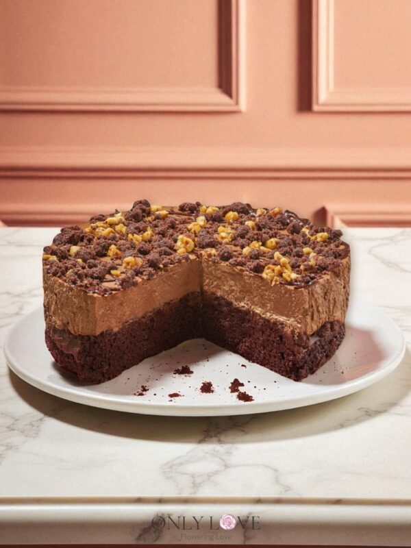 SRC22 Chocolate Odyssey Cake – Florist USJ