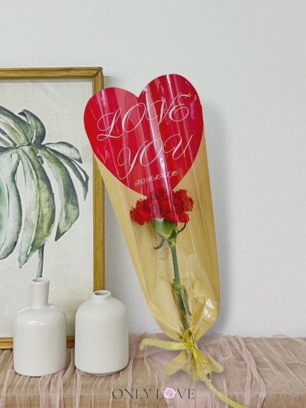 MD055 Carnation Bouquet – Florist Rawang