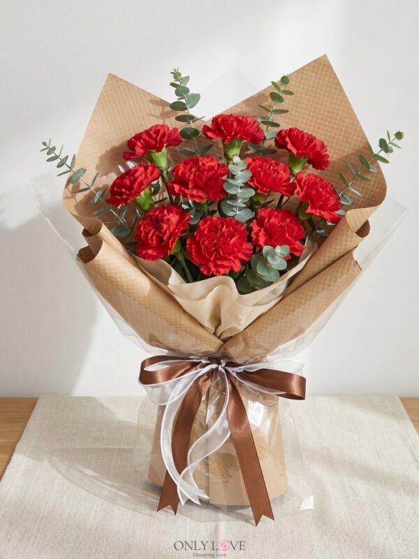 MD061 Carnation Bouquet – Florist Putrajaya