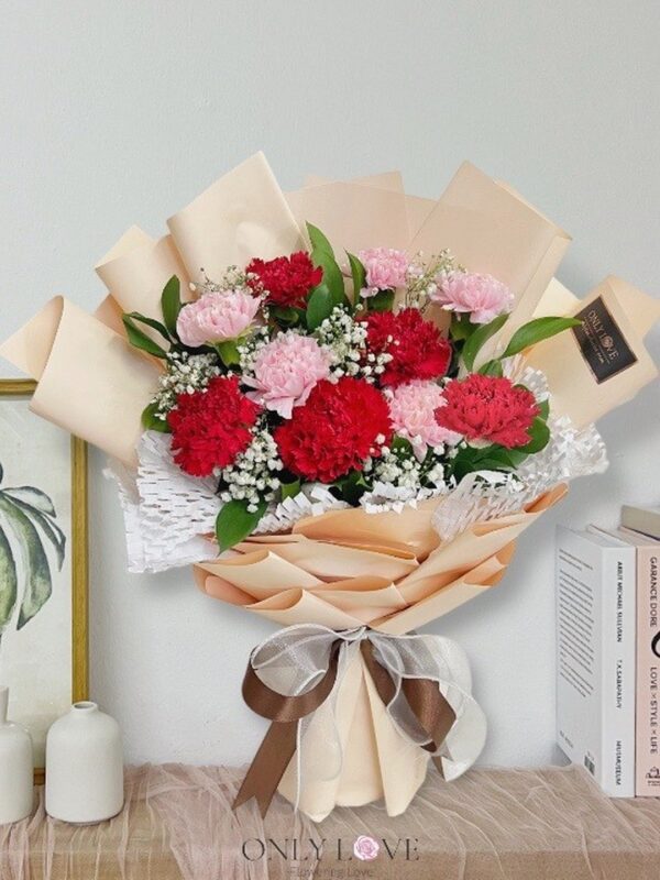 MD063 Carnation Bouquet – Florist Pandan Jaya