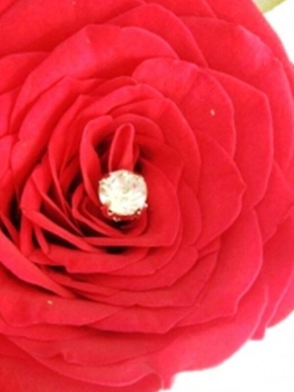 AD004 Crystal Diamond – Florist Kajang