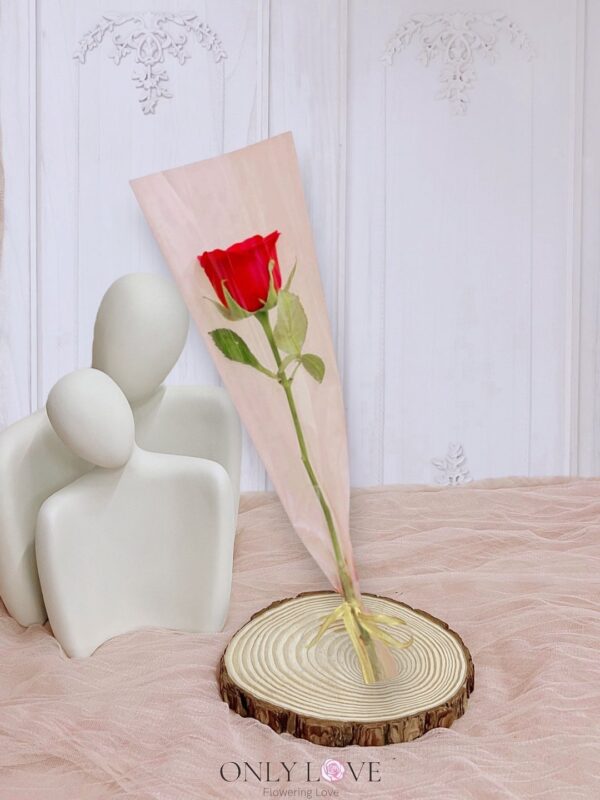L146 Rose Flower Bouquet – Florist Putrajaya