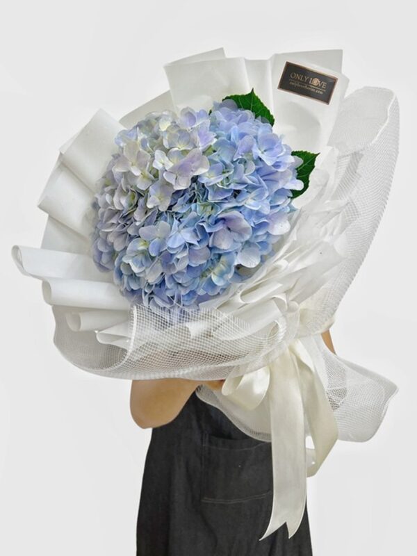 HGB007 Hydrangea Bouquet – Florist Gombak